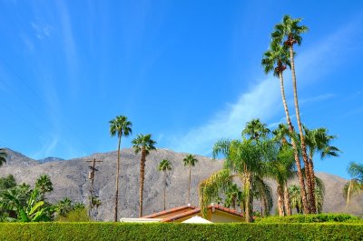 Palm Springs 2011