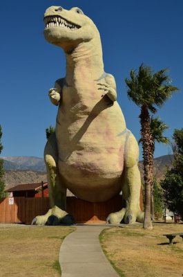 Palm Springs 2011