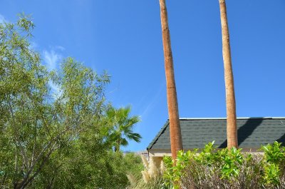 Palm Springs 2011