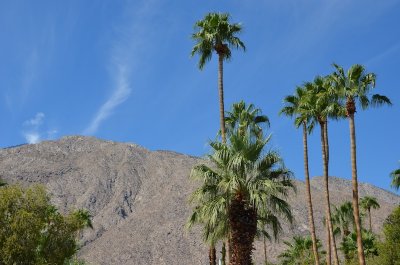 Palm Springs 2011