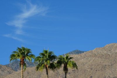 Palm Springs 2011
