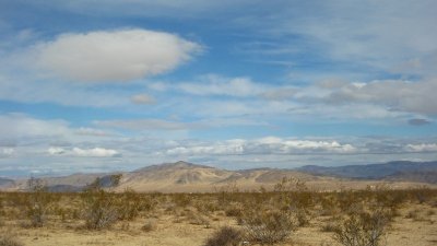 Joshua Tree 2009