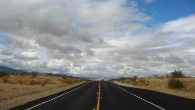Joshua Tree 2009