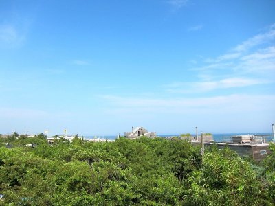 Fire Island 2010