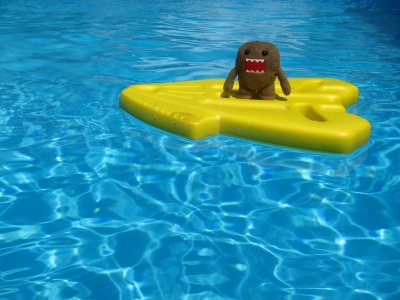 Fire Island 2010