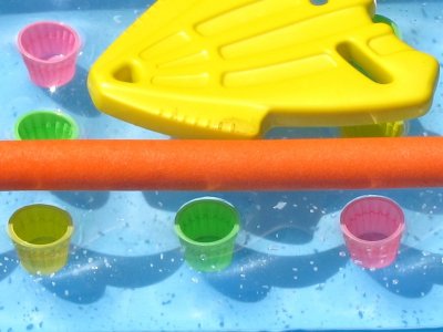 Fire Island 2010
