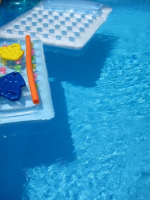 Fire Island 2010