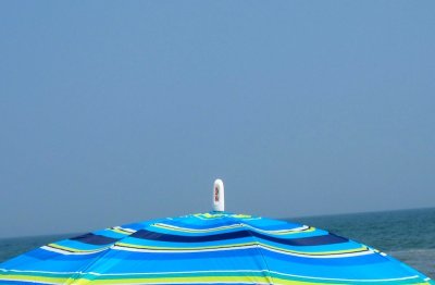Fire Island 2010