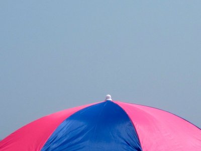 Fire Island 2010