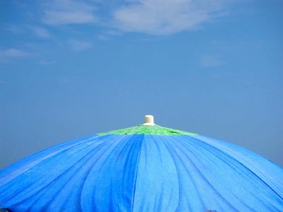 Fire Island 2010