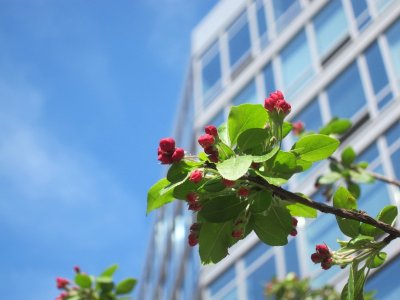 High Line 2010