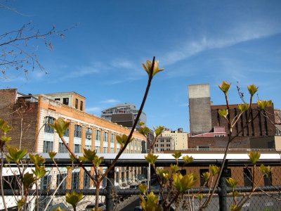 High Line 2010