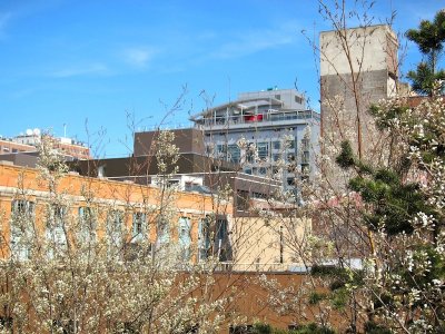 High Line 2010
