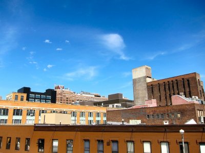 High Line 2010