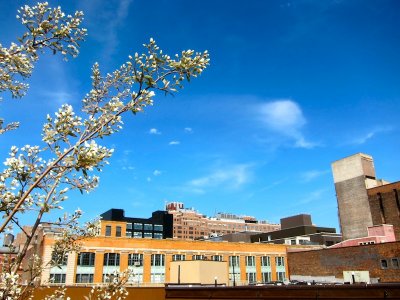 High Line 2010