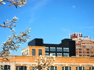 High Line 2010