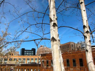 High Line 2010