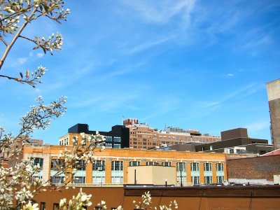 High Line 2010