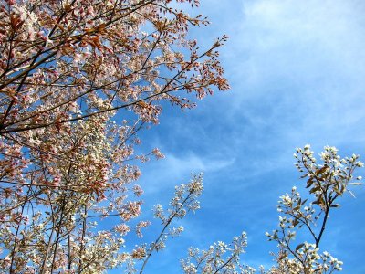 High Line 2010