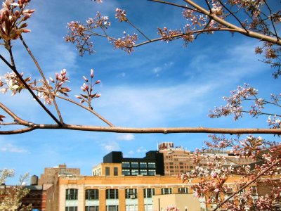 High Line 2010