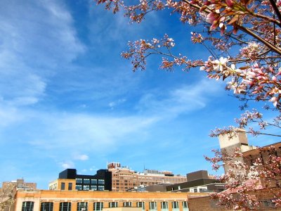 High Line 2010