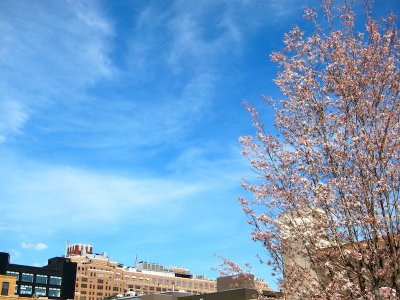 High Line 2010
