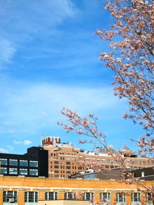 High Line 2010