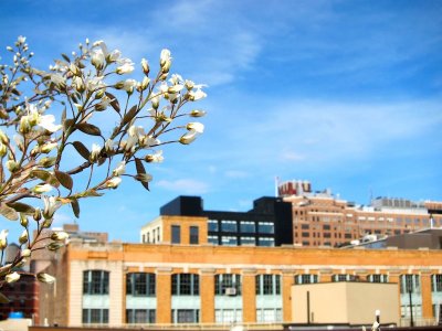 High Line 2010
