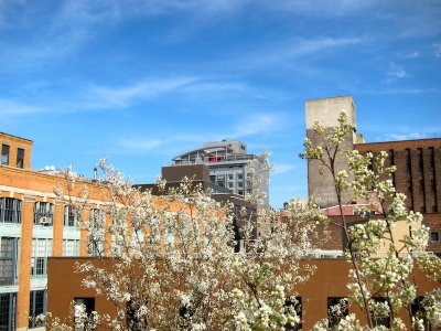 High Line 2010