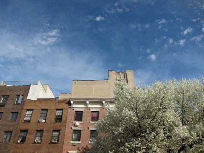 High Line 2010