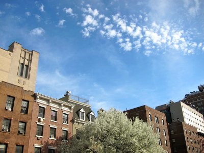 High Line 2010