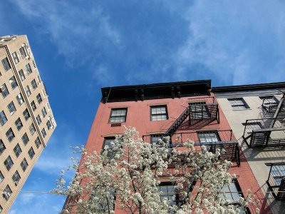 High Line 2010