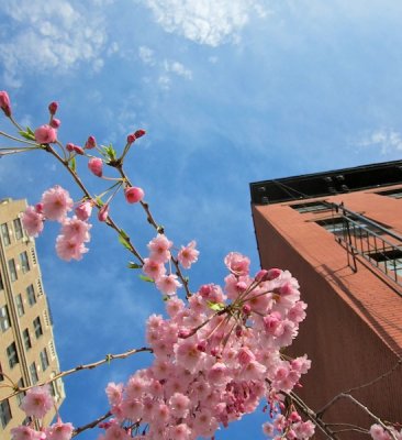 High Line 2010