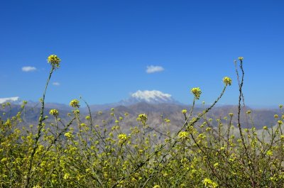 Bolivia 2012