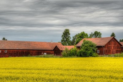 Sweden 2013