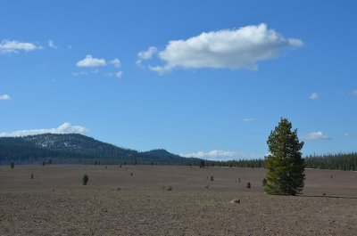 Oregon 2011