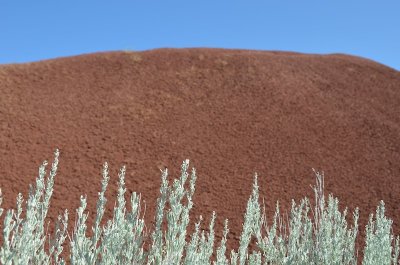 Oregon 2011