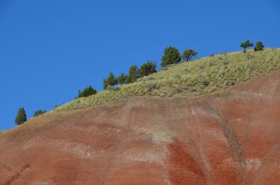 Oregon 2011