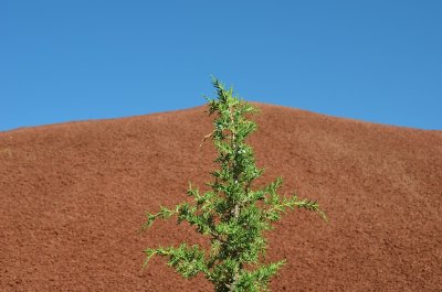 Oregon 2011