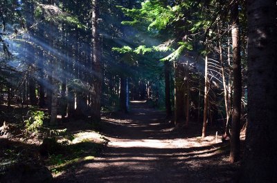 Oregon 2011