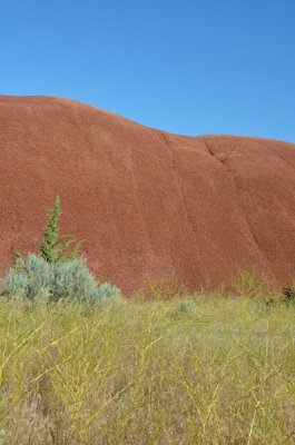 Oregon 2011