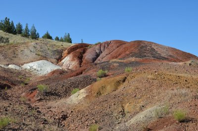 Oregon 2011
