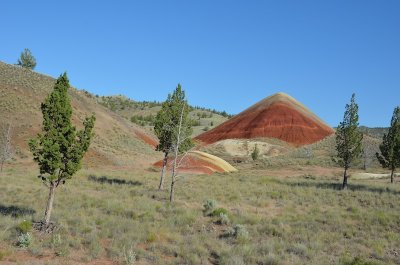 Oregon 2011