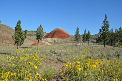Oregon 2011