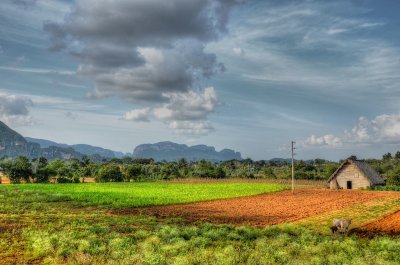 Cuba 2013