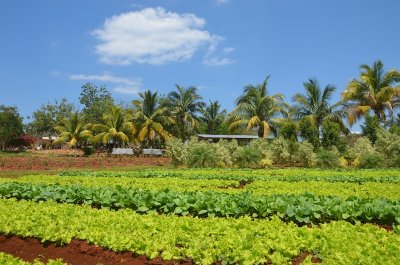 Cuba 2013