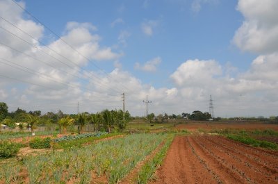 Cuba 2013