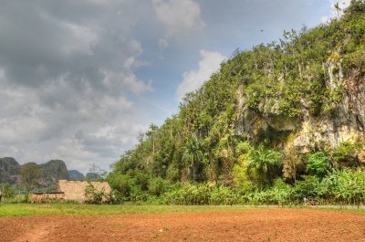 Cuba 2013