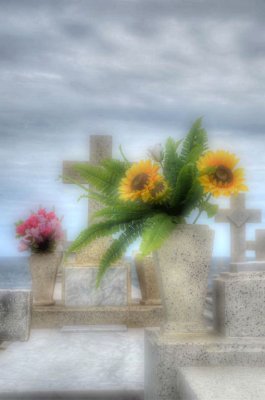 g9/07/98707/3/154937431.hLwUTDkV.jpg