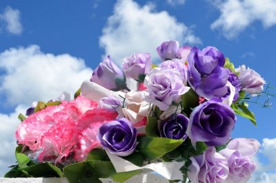 g9/07/98707/3/154937507.PIGrDlxO.jpg